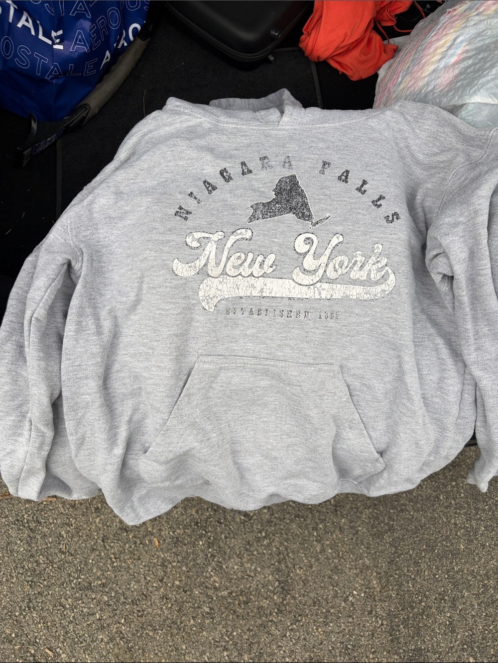 Niagara Falls New York Gray Hooded Sweatshirt